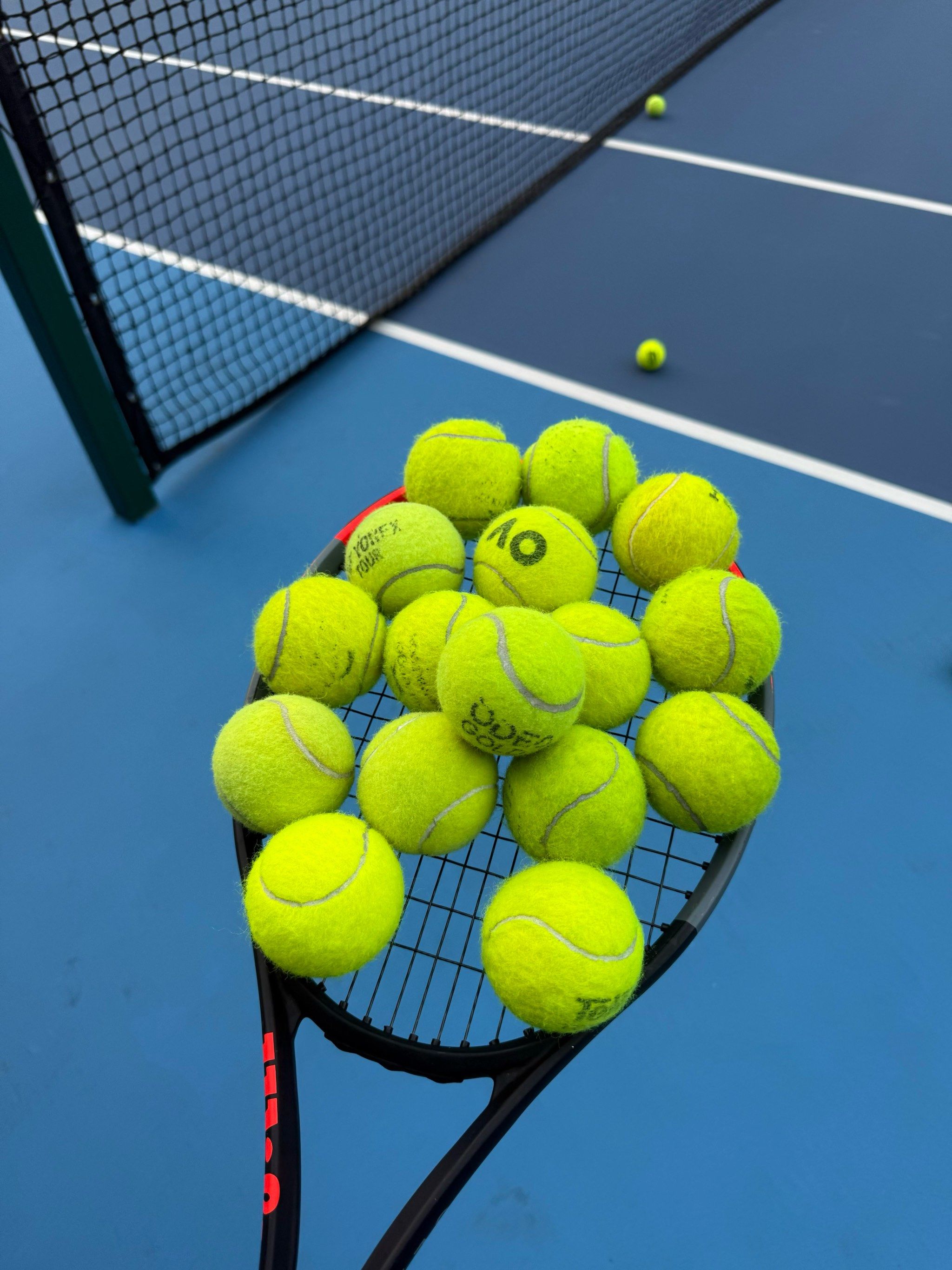 如果他们能 如果他们能